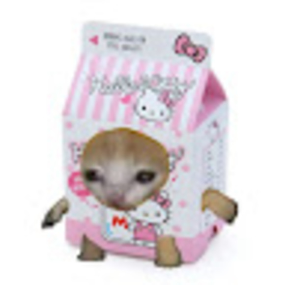 Meet your Posher, Sofie - Picture 1 of 1